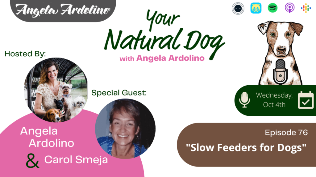 Slow Feeders for Dogs Mine Pet Platter Your Natural Dog Podcast