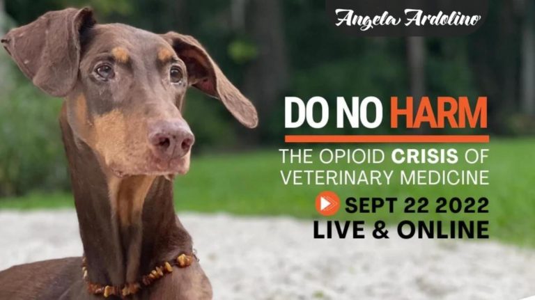 Do No Harm Opioid Crisis Veterinary Medicine Holistic Pet Wellness Education Event