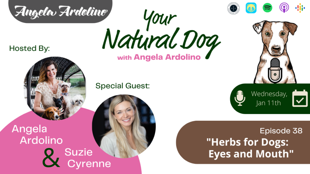 suzie cyrenne zumalka your natural dog podcast with angela ardolino herbs for dogs homeopathy podcast dogs
