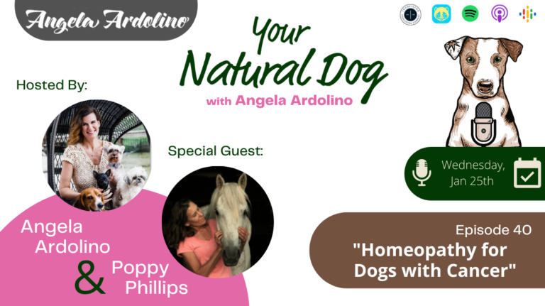 poppy phillips homeopathy for dogs with cancer your natural dog podcast