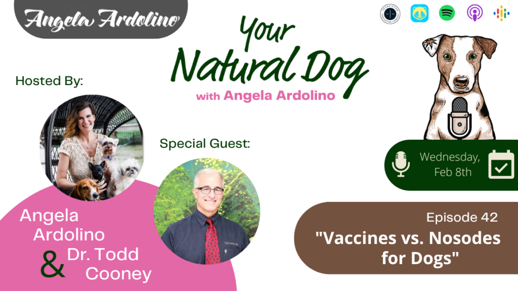 Vaccines vs nosodes for dogs with dr. todd cooney on your natural dog podcast with angela ardolino