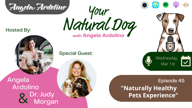 Dr. Judy Morgan Naturally Healthy Pets Experience on Your Natural Dog Podcast with Angela Ardolino