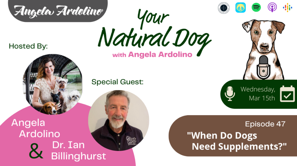 when do dogs need supplements what supplements do dogs need dr ian billinghurst gussy's gut fermented vegetables bones ynd podcast your natural dog with angela ardolino