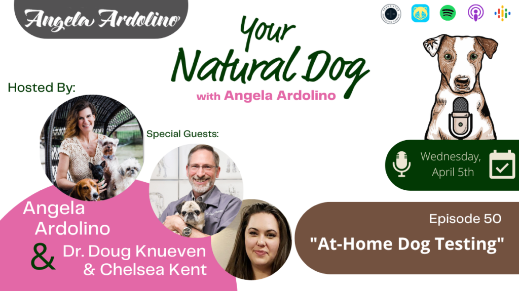 At home dog testing allergy testing for dogs dr doug knueven chelsea kent parsleypet hero's pets your natural dog podcast