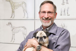 Dr. Doug Knueven DVM At home dog testing allergy testing for dogs podcast guest