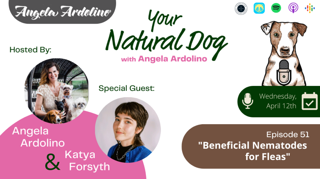 Beneficial Nematodes for Fleas Katya Forsyth Flea Destroyer Your Natural Dog Podcast