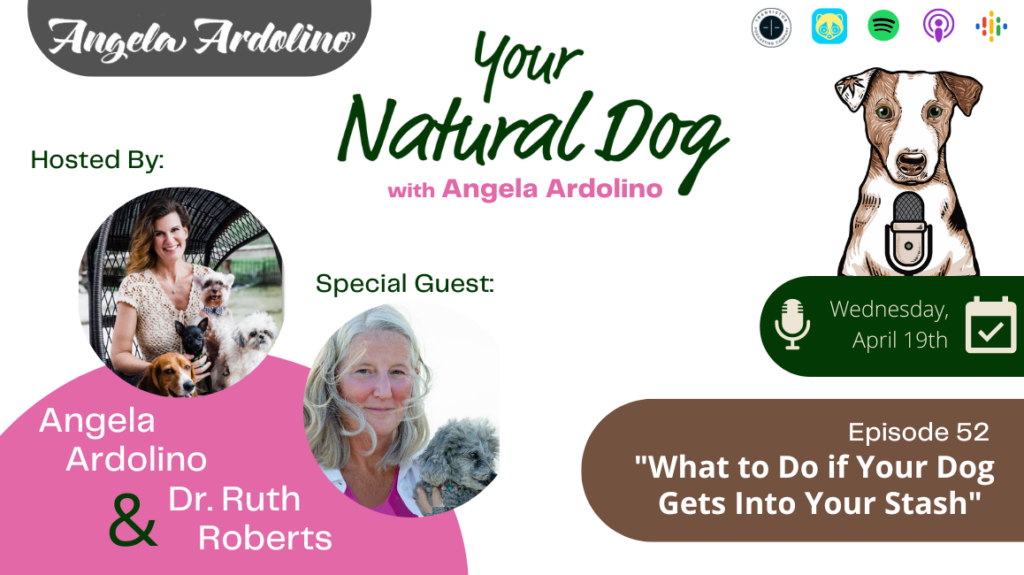 Dr Ruth Roberts What to do if your dog gets into your stash podcast cannabis cbd pets