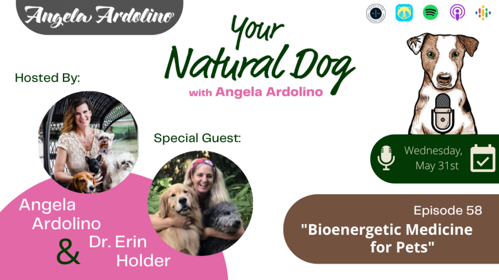 Bioenergetic medicine for pets with dr. erin holder of floridawild veterinary hospital kinesiology your natural dog podcast