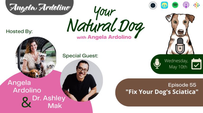 Sciatica pain in dogs back pain in dogs Dr Ashley Mak on Your Natural Dog Podcast