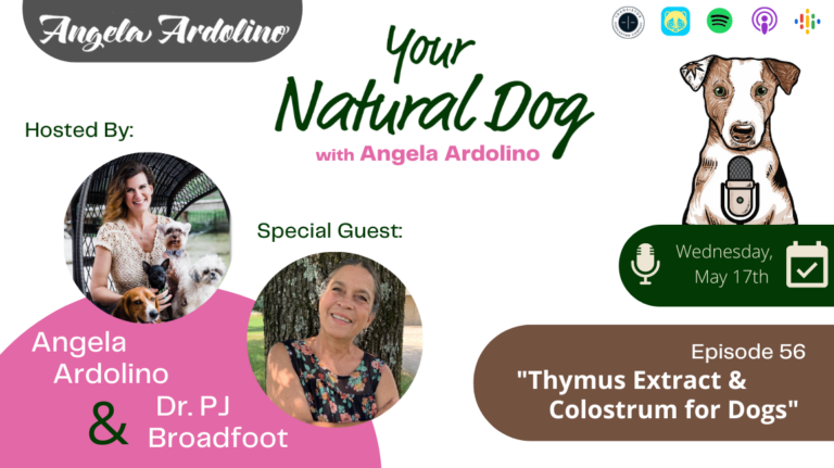 Thymus Extract for Dogs Colostrum for dogs with Dr PJ Broadfoot on Your Natural Dog Podcast