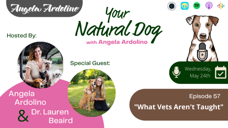 what vets aren't taught, dr lauren beaird, what veterinarians aren't taught in school on your natural dog angela ardolino