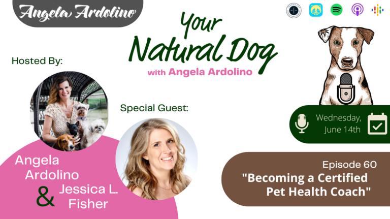 Becoming a certified pet health coach holistic pet health holistic dog health on your natural dog podcast with angela ardolino