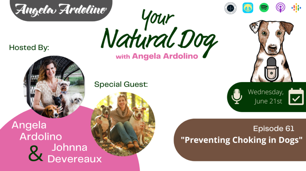 Johnna Devereaux Prevent Choking in Dogs bully stick chews bones national pet choking prevention day your natural dog podcast angela ardolino