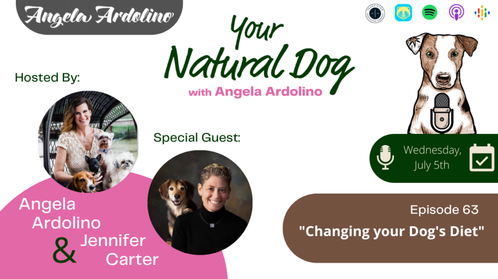 Changing your dog's diet with jennifer carter of volhard dog nutrition your natural dog podcast angela ardolino