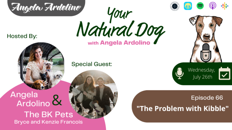 the bk pets the problem with kibble bad for dogs podcast angela ardolino