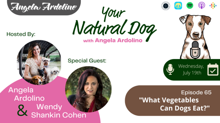 what vegetables can dogs eat with dr. harvey's vegetables for dogs ceo wendy shankin cohen your natural dog podcast angela ardolino