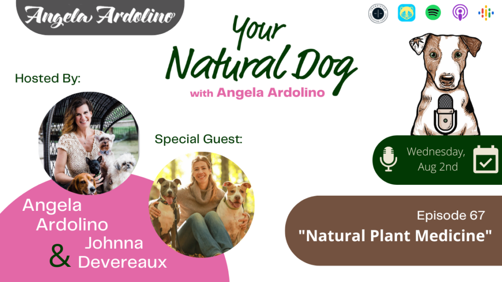 Natural plant medicine for dogs johnna devereaux your natural dog podcast angela ardolino