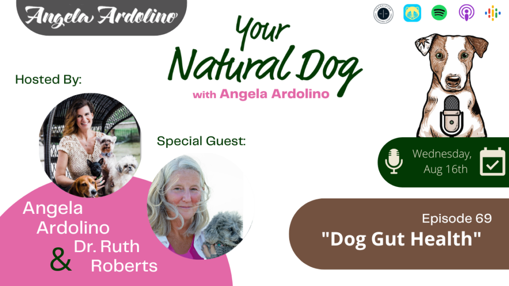 dog gut health Dr Ruth Roberts CBD for gut health in dogs angela ardolino your natural dog podcast
