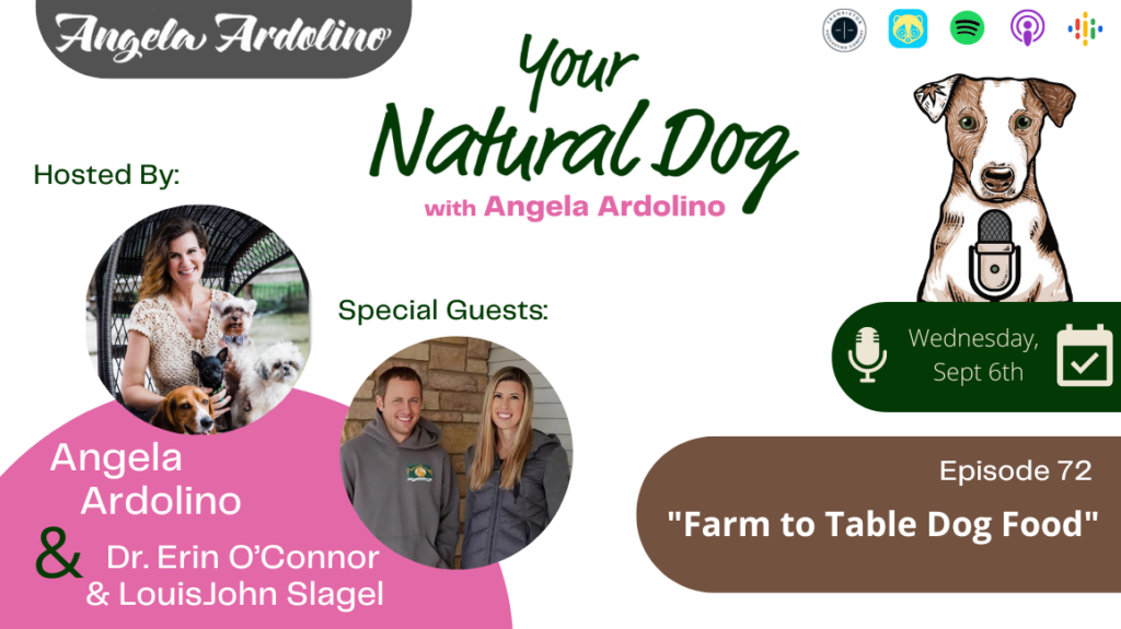Farm to table dog food with farm 2 bowl Dr. Erin O'connor Louis John slagel Angela ardolino YND Podcast