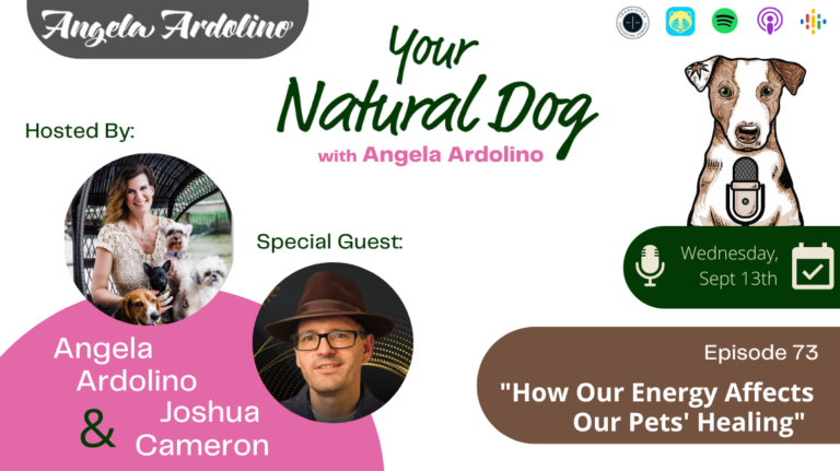 how our energy affects our pets healing joshua cameron towards goodness angela ardolino YND Podcast