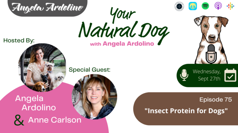 insect protein for dogs jiminys YND Podcast AA