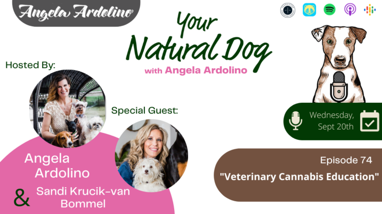 veterinary cannabis education Sandi Krucik-van Bommel veterinary cannabis counselor Your Natural Dog Podcast Angela Ardolino
