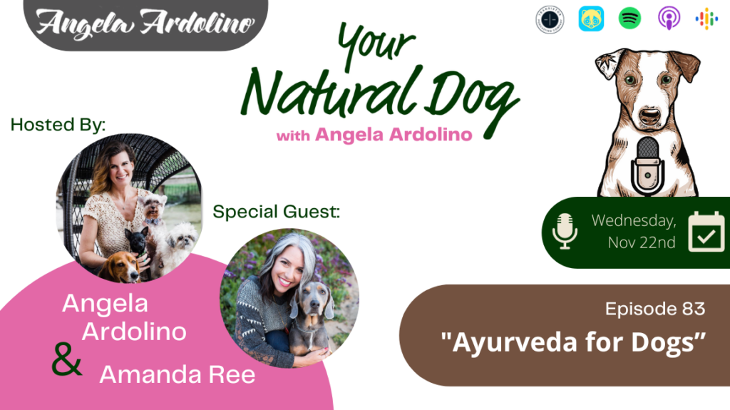 amanda ree ayurveda for dogs ynd podcast