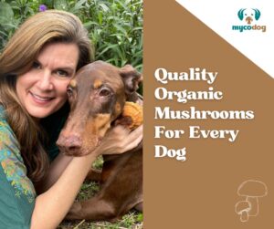 MycoDog Functional Mushrooms for Dogs Pets Angela Ardolino and Nina