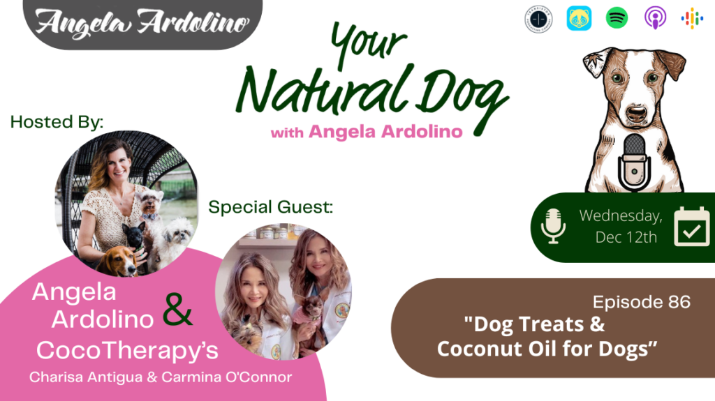 cocotherapy vegan dog treats coconut oil for dogs
