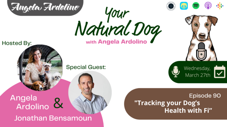 Tracking your dog's health with Fi founder Jonathan Bensamoun on Your Natural Dog Podcast with Angela Ardolino