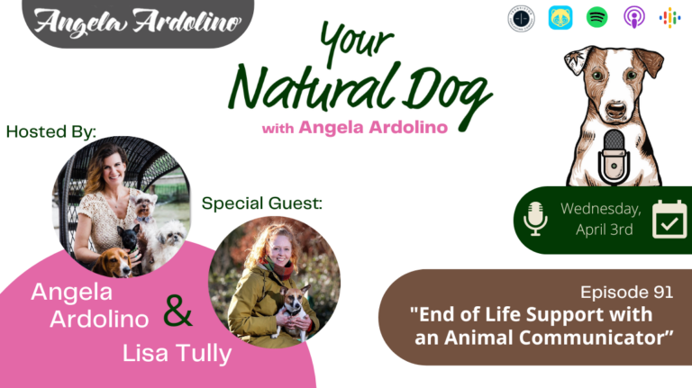 End of life support with animal communicator lisa tully