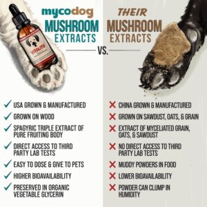 mushroom extract liquid tinctures vs powders chart comparison mushroom supplements for dogs chart