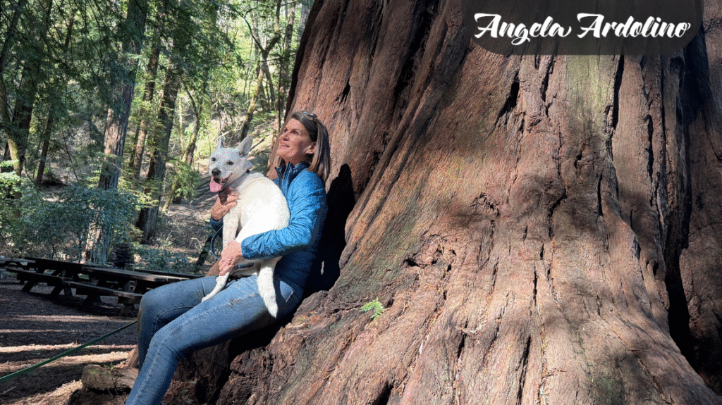 Why I made mushrooms and MycoDog