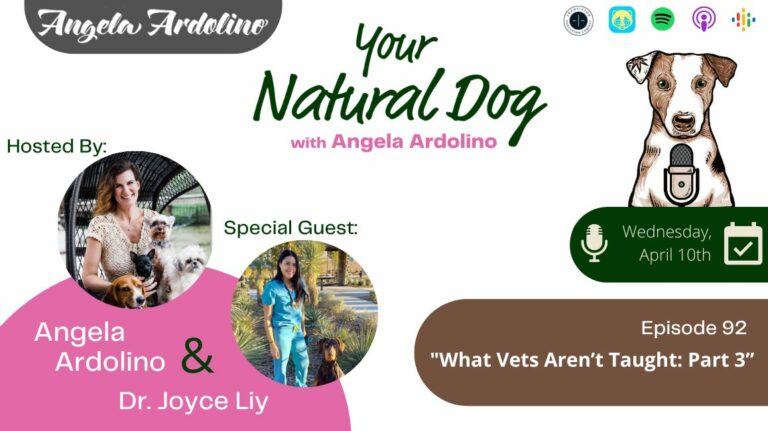 What Vets Aren't Taught part 3 with Dr. Joyce Liy on your natural dog podcast