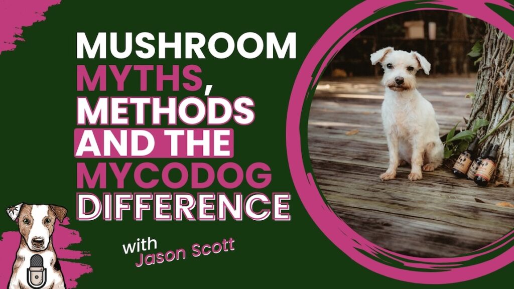 Mushroom Myths, Methods and the MycoDog Difference with Mycologist Mycoalchemist Jason Scott on Your Natural Dog Podcast