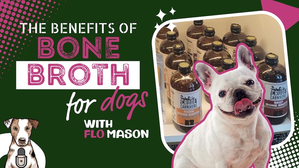 benefits of bone broth for dogs with Flo Mason from crude carnivore on your natural dog podcast