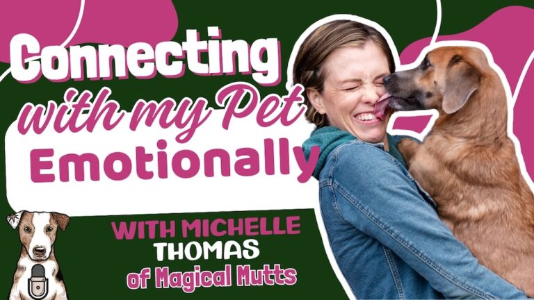 Connecting with pets Animal communication with Michelle Thomas of Magical Mutts