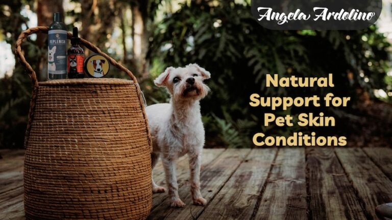 Natural Support for pet skin conditions allergic dermatitis allergies fungal infection mange hot spots