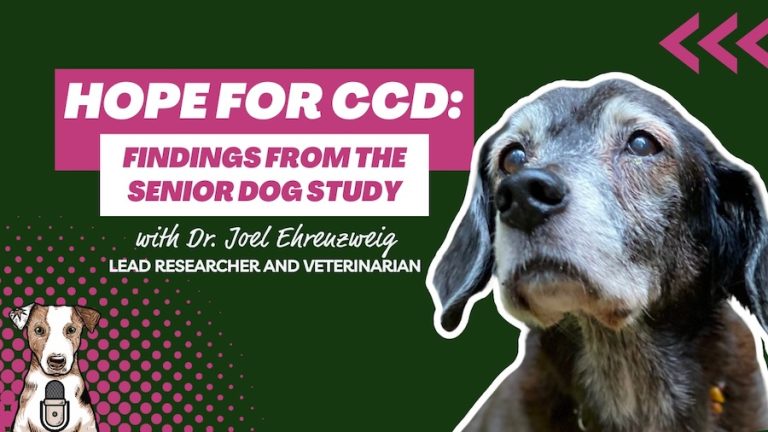 Senior Dog Study Dr. Joel Ehrenzweig mushrooms adaptogens for senior dog cognitive support