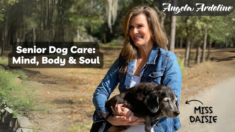 senior dog care mind body soul cognitive support mobility