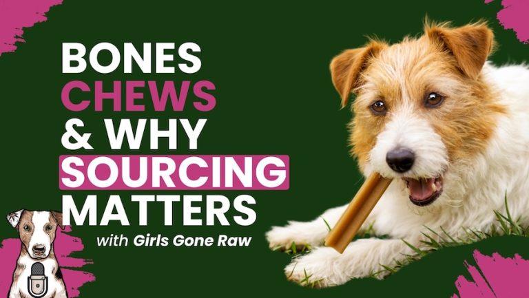 safe bones for dogs safe chews for dogs girls gone raw your natural dog podcast