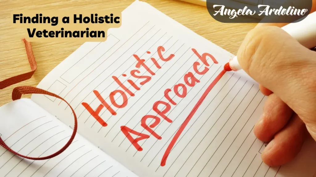 finding a holistic veterinarian holistic wellness holistic pet care