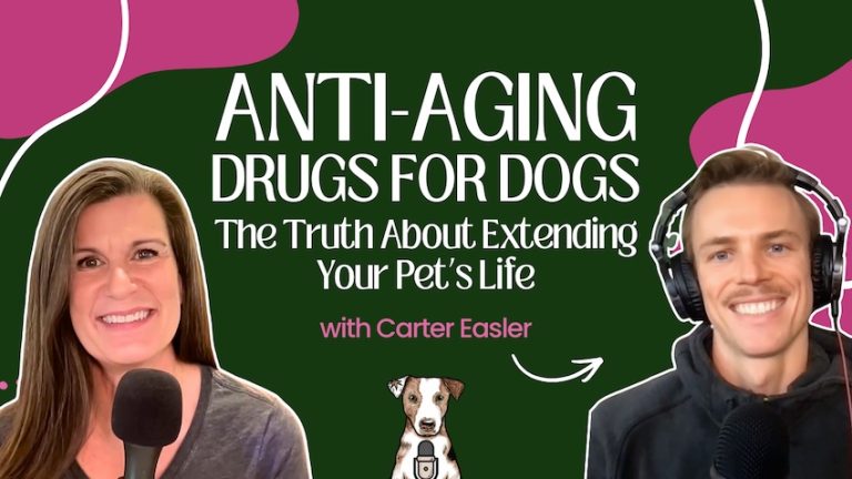 anti aging drugs for dogs longevity drugs rapamycin loyal cbd mushrooms