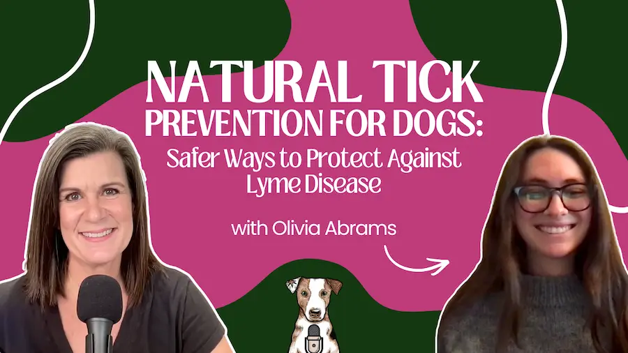 natural tick prevention olivia abrams tick mitt creator founder on your natural dog podcast
