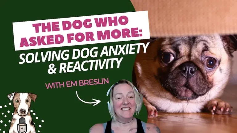 dog who asked for more with Em Breslin on Your Natural Dog Podcast