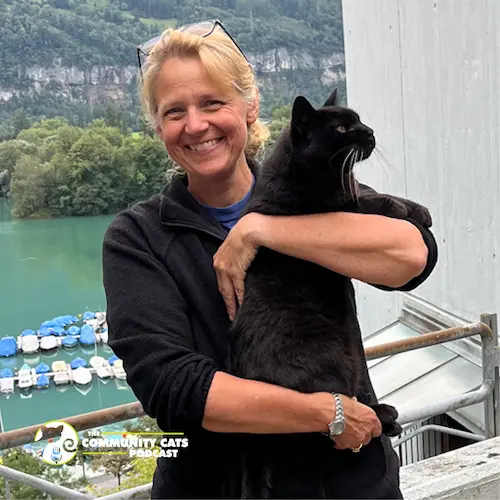 stacy lebaron community cats