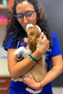 Dr. Lisa Fiorenza