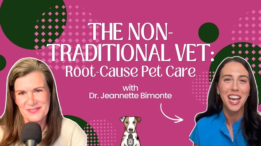 dr jeannette bimonte the non traditional vet
